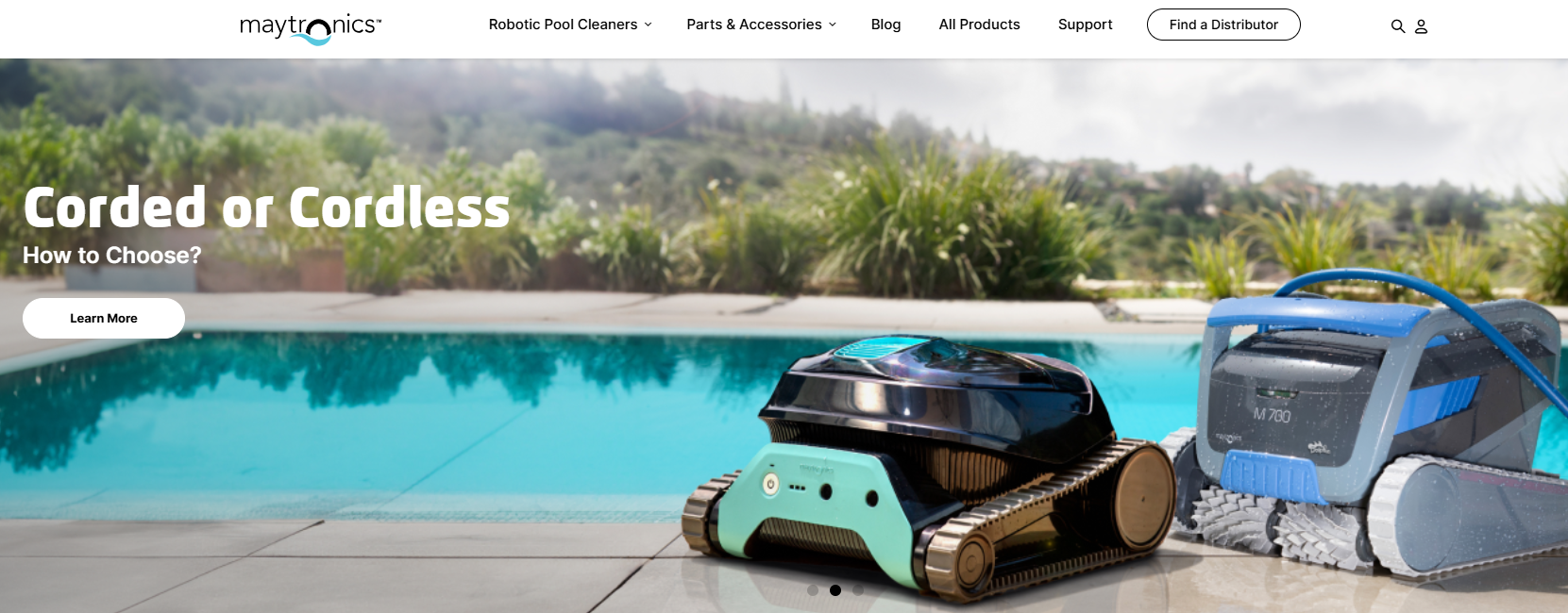 Golfinho (Maytronics)