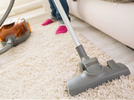 vacuum-rug-for-flea-pest-control-moxie-1024x447-1_590_443.png