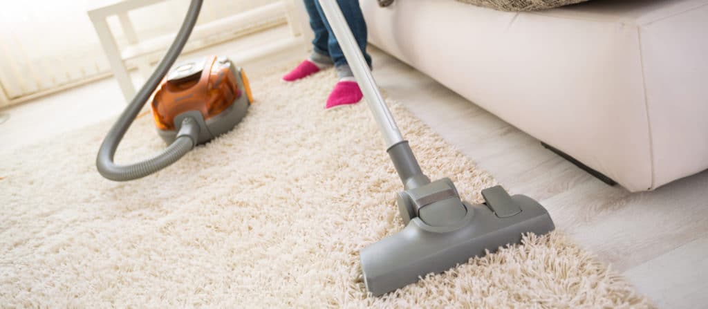 tapete de v&aacute;cuo para controle de pragas de pulgas-moxie-1024x447-1.jpg